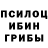Псилоцибиновые грибы Psilocybine cubensis sunny ardito
