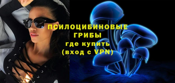 прущие крисы Кулебаки