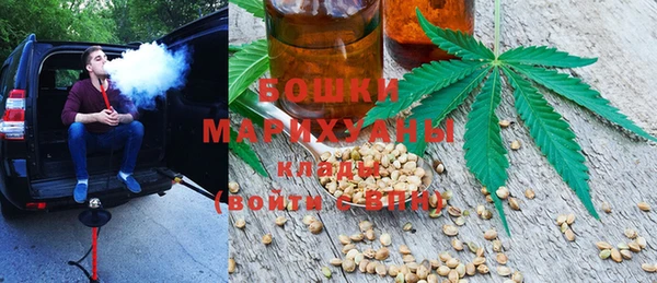 соль ск Кукмор