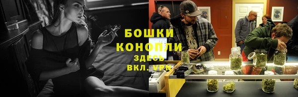 прущие крисы Кулебаки