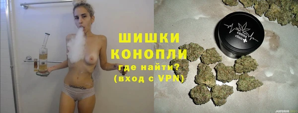 соль ск Кукмор