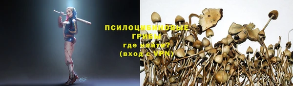 соль ск Кукмор