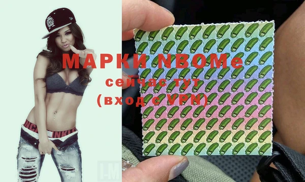 соль ск Кукмор
