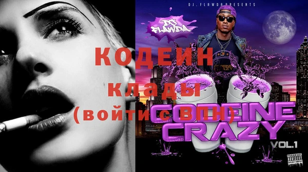 прущие крисы Кулебаки