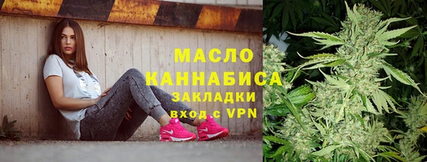 соль ск Кукмор
